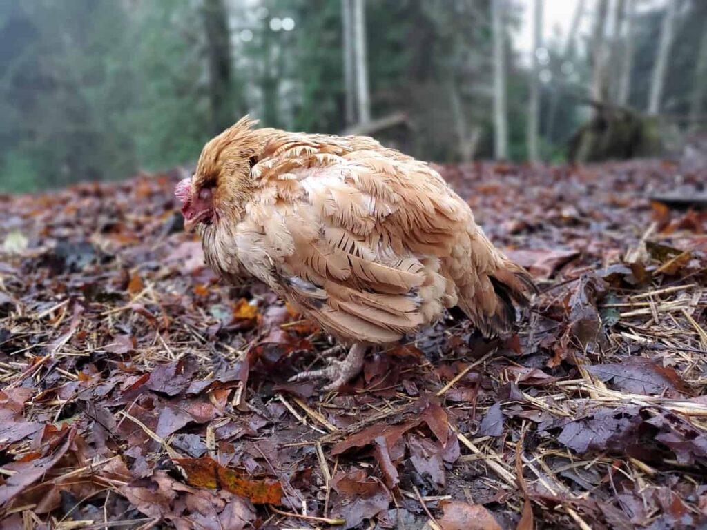 Lethargy and depression