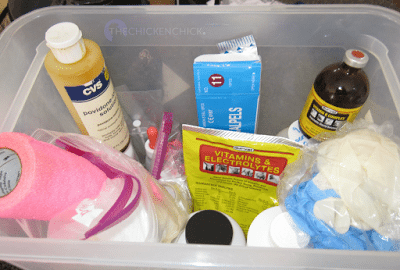 Complete chicken first aid kit with bandages, medications, and tools organized in a clear container